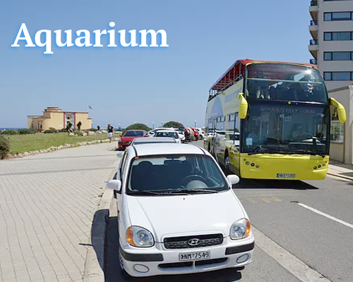 Rhodes Aquarium | Open Bus Stop
